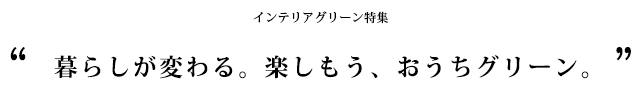 インテリアグリーン特集