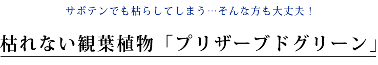 インテリアグリーン