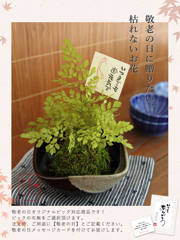 敬老の日 ギフト