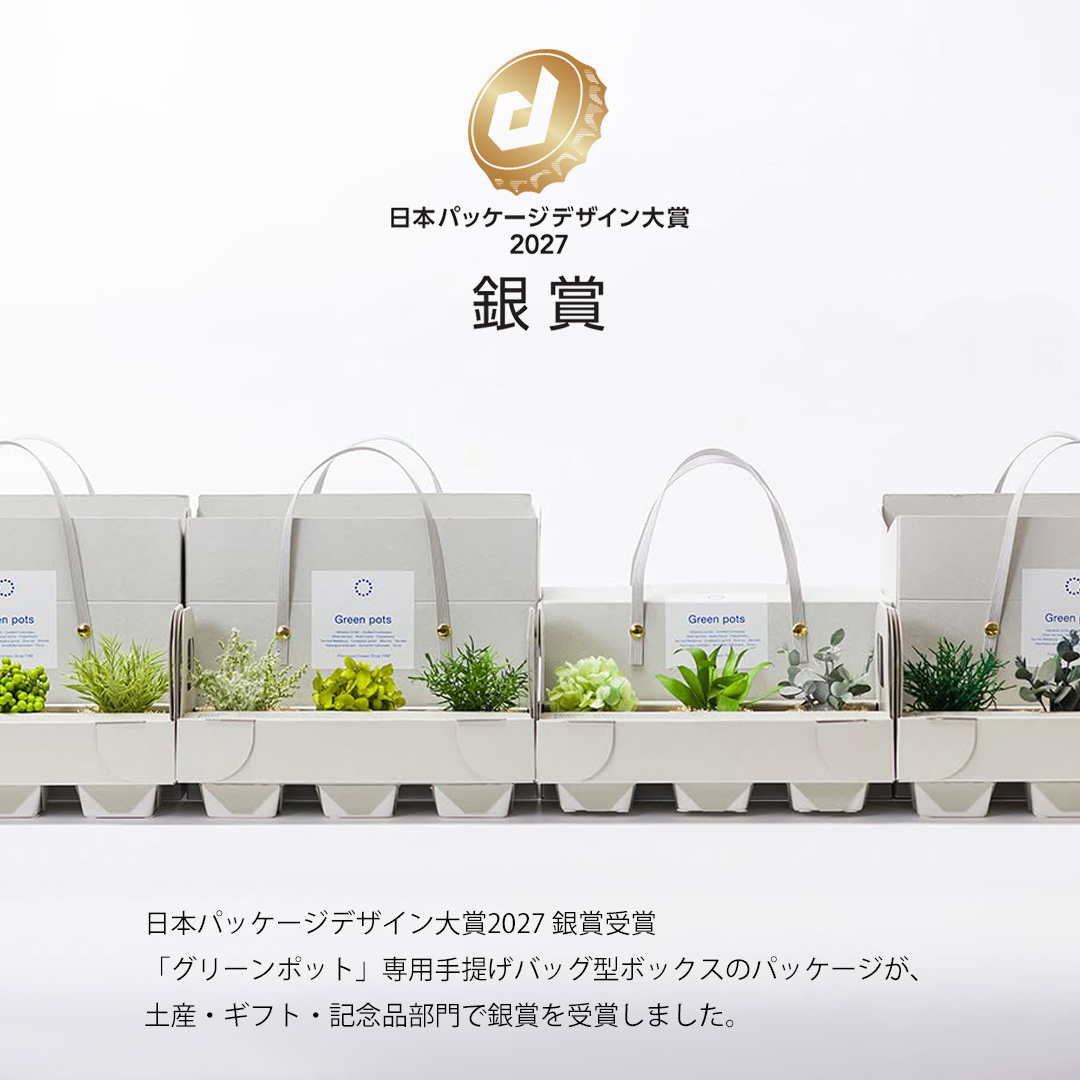 プリザーブドグリーン/誕生日 プレゼント 女性 枯れない観葉植物 造花 ミニ お返し