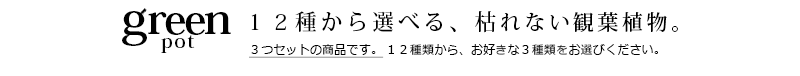 プリザーブドグリーン/誕生日 プレゼント 女性 枯れない観葉植物 造花 ミニ お返し