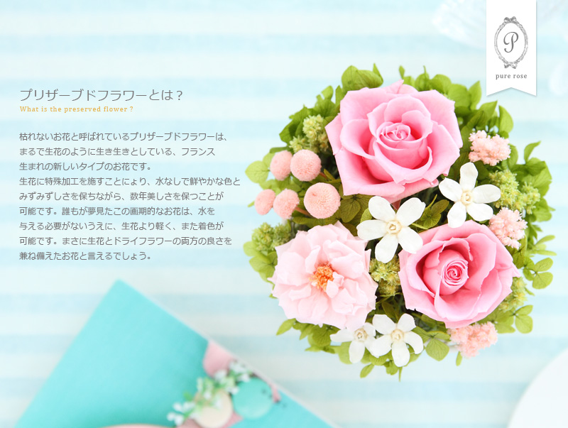 誕生日/プレゼント/女性/新築祝い/結婚祝い/結婚記念日/開店祝い/開業祝い/枯れない/花/プリザーブドフラワー/ブリザード/ギフト/トレンド