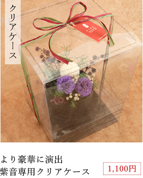 クリアケース