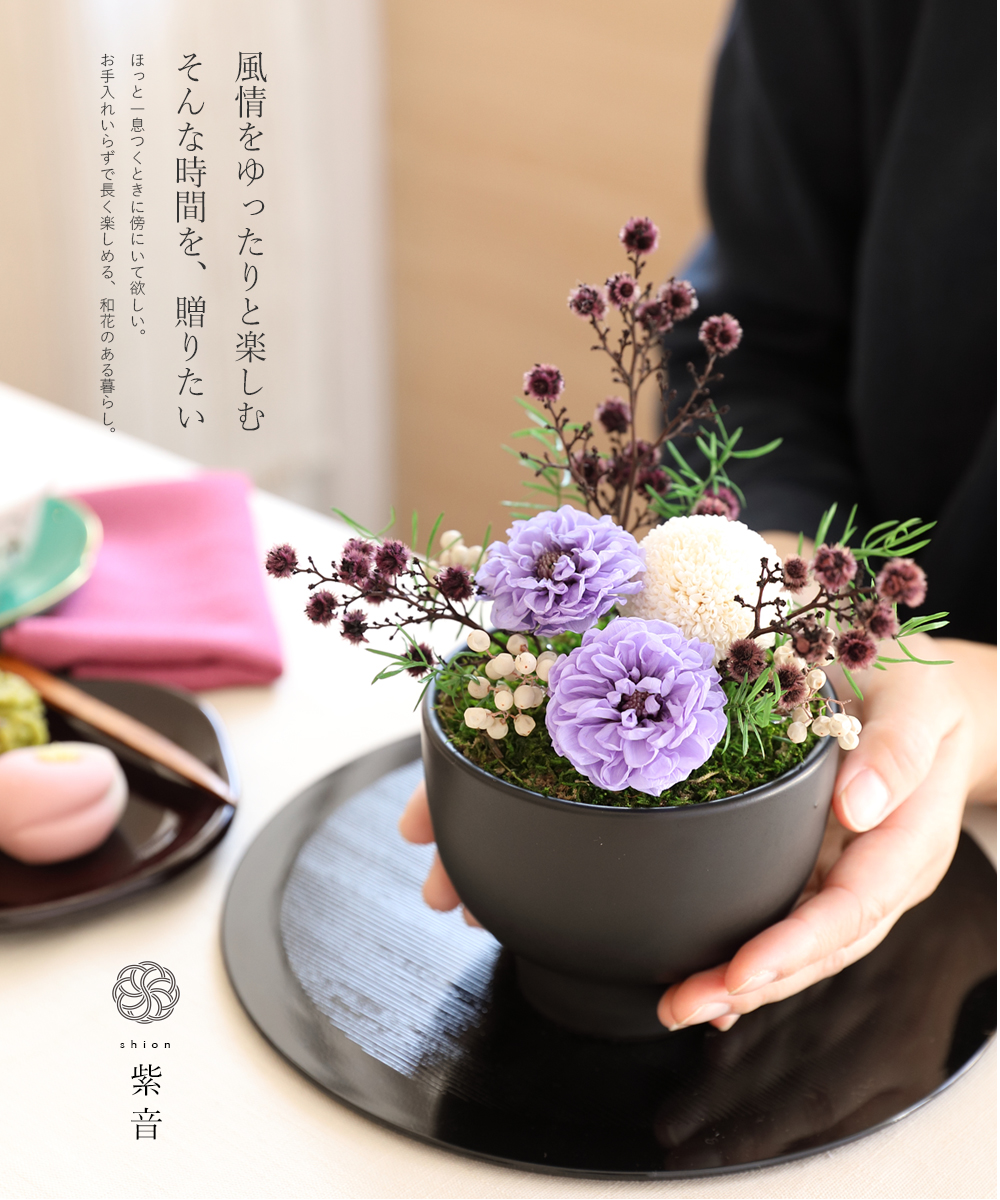 ヴェルモント ダリア