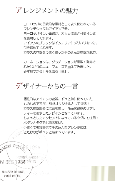 プリザーブドフラワーギフト/カーネーション