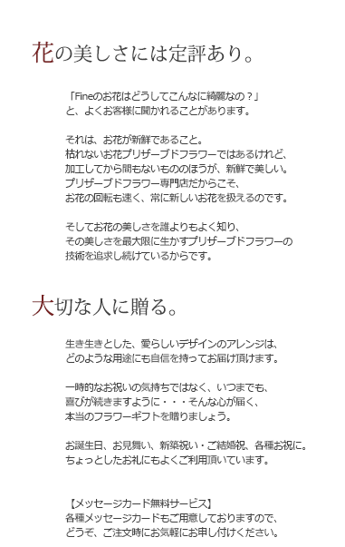プリザーブドフラワーギフト/カーネーション