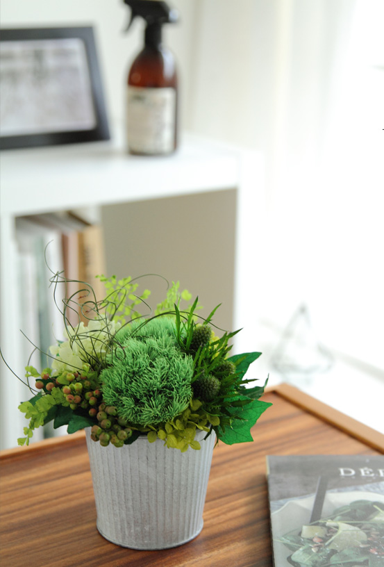 フリッツ インテリアグリーン 新築祝い 開店祝い 開業祝い 開院祝い 有料バッグ M対応