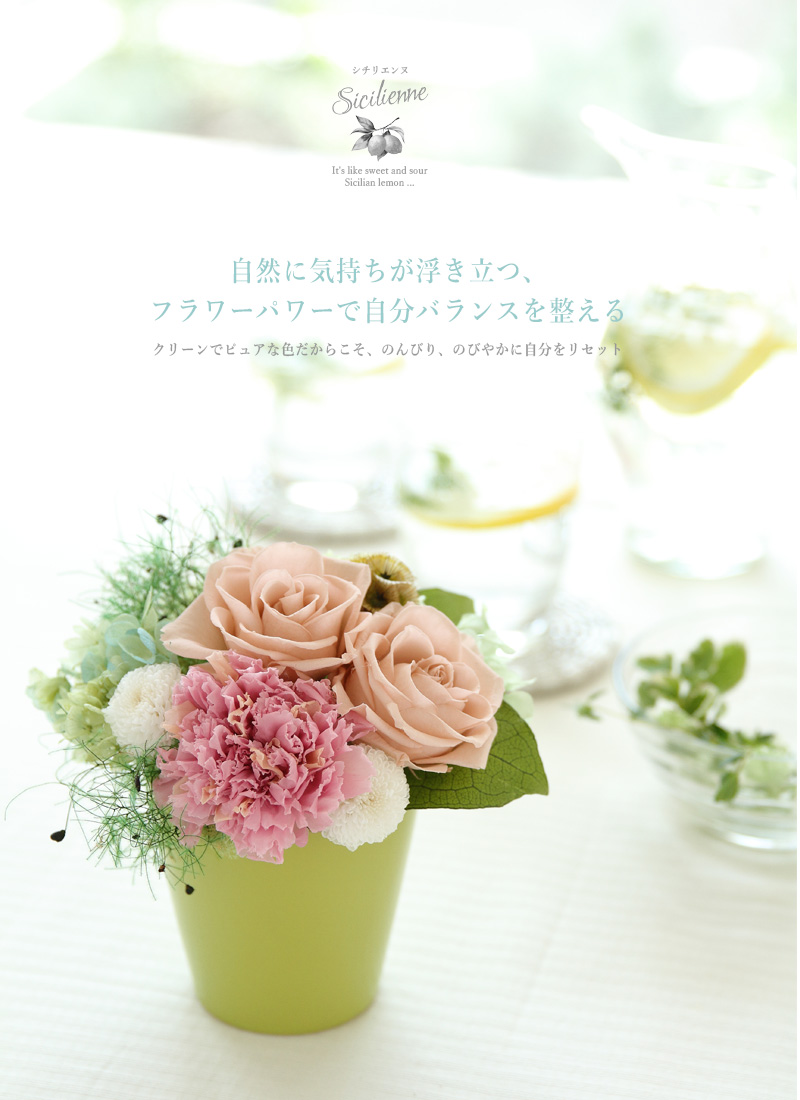 プリザーブドフラワー 通販