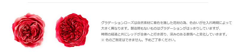 ローズ てまり
