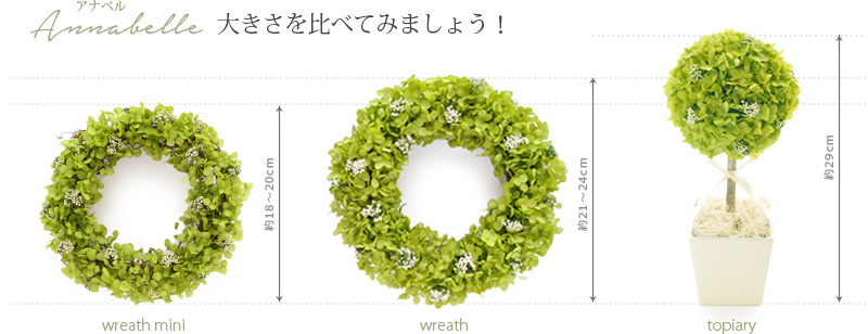 枯れない観葉植物 リース
