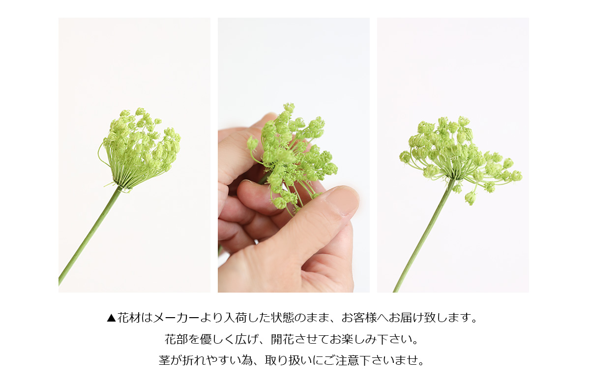 プリザーブドフラワー