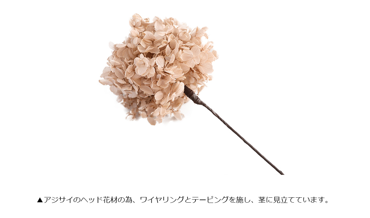 花材　ドライフラワー