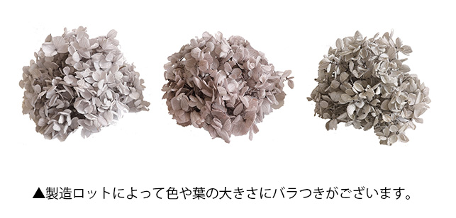 花材　ドライフラワー