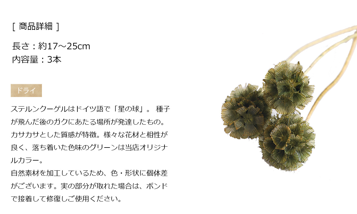 ドライフラワー