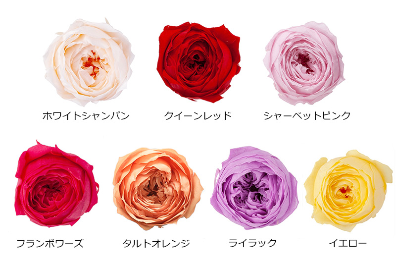 ドライフラワー